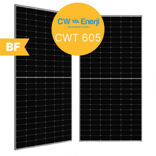 Солнечная панель CW ENERJI CWT605
